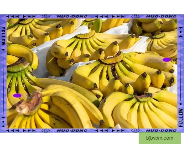 探索“香蕉视频在线”的无限可能：不止是视觉盛宴，更是生活新姿态